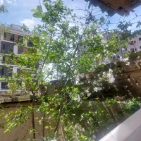 فروش چند قواره زمین زیر قیمت