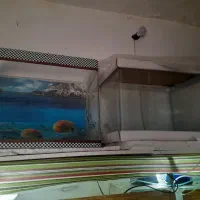 فروش آکواریوم با وسیله|ماهی|کوهدشت, |دیوار