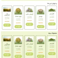 طراحی سایت شرکتی وفروشگاهی سئو