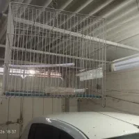 تعدادی قفس در دو سایز