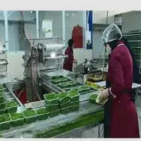 جذب سرکارگر ماهر برای سبزی آماده