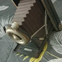 دکوردوربین وجاعکسی