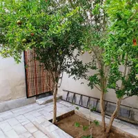 اجاره سویت مستقل|اجارهٔ کوتاه‌مدت آپارتمان و سوئیت|زاهدان, |دیوار