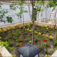 کلیه کارهای سم پاشی،باغبانی،گل کاری وهرس ،تیلرزنی