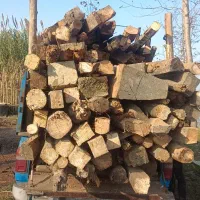 خرید چوبهای ساختمانی|مصالح و تجهیزات ساختمان|آستانه اشرفیه, |دیوار