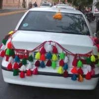 شیردنگ