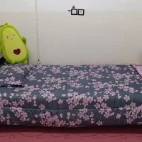 تخت فلزی دوطبقه بدون تشک|تخت و سرویس خواب|روانسر, |دیوار