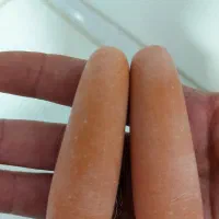 یک جفت گوهر شب نما