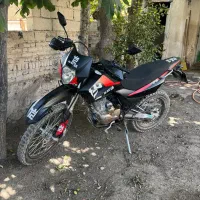 تریل کویر 250 T2