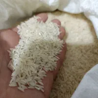 برنج طارم هاشمی|خوردنی و آشامیدنی|کردکوی, |دیوار