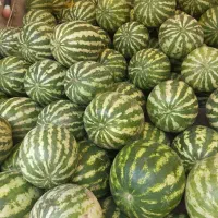 نیرو برای میوه فروشی