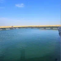 زمین باغی سند دار|فروش زمین و ملک کلنگی|شاهین‌شهر, گرگاب|دیوار