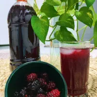 شربت|خوردنی و آشامیدنی|گناباد, |دیوار