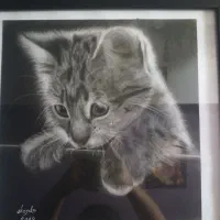 سیاه‌‌قلم|تابلو، نقاشی، عکس|قم, پردیسان|دیوار