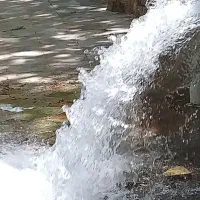 ۶حبه باغ و زمین کشاورزی با آب شیرین وخاک مناسب