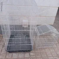 قفس پرنده