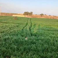 هویزه زمین باغی هویزه نزدیک باغ دکتر حسن