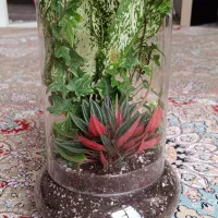 گل طبیعی شیشه ای