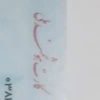 مدارک گم کردم