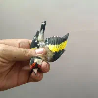 سهره چهارگل