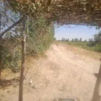 یک قطعه باغچه|فروش دفتر صنعتی، کشاورزی، تجاری|تهران, امیرآباد|دیوار