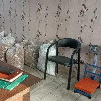 گردو تازه تویسرکان در فروشگاه گردوپیچ|خوردنی و آشامیدنی|تهران, مسعودیه|دیوار