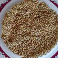 عدس محلی زود‌پخت