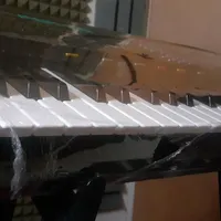 Korg pa 500