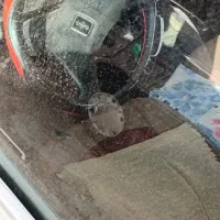 پیکان|خودرو سواری و وانت|اشترینان, |دیوار