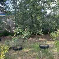 زمین مسکونی جاده انزلی۶۵۰ متری|فروش زمین و ملک کلنگی|رشت, انصاری|دیوار