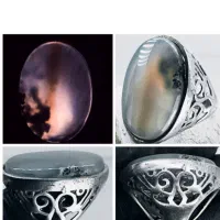 شجر خونی فعال شانس روزی دار