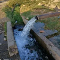 گلخانه با درآمد خوب/زیر قیمت به علت مهاجرت|فروش دفتر صنعتی، کشاورزی، تجاری|شهریار, رضی آباد بالا|دیوار