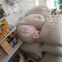 گندم رقم کانورتا