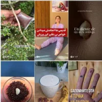 پیج فعال 15نیم کا اینستاگرام|لوازم جانبی موبایل و تبلت|تهران, فلسطین (میدان انقلاب)|دیوار