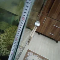 آکواریوم بزرگ|ماهی|میاندوآب, |دیوار