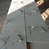 نیازمند نیروی سنگکار|استخدام معماری، عمران و ساختمانی|چالوس, |دیوار