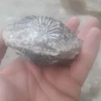 سنگ کلکسیونی|کلکسیون اشیاء عتیقه|ایلام, |دیوار