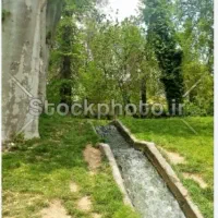 اجاره باغ جهت سفره خانه و رستوران نبش امیرکبیر