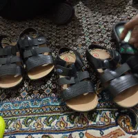 کفش و دمپا|کیف، کفش، کمربند|دوگنبدان, |دیوار