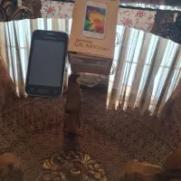 گوشی 300 تومن سامسونگ