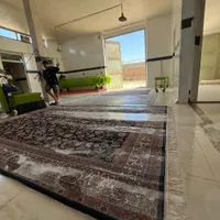 قالی شوی رووبار