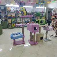 پت شاپ قصر طلا