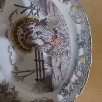 ۲ عدد دیس سینی طرح دار مارک دار خارجی قدیمی (نو)|کلکسیون اشیاء عتیقه|تهران, باغ خزانه|دیوار