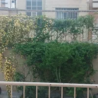 فروش آپارتمان سه خوابه،زیر قیمت
