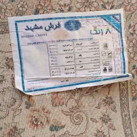 میز و فرش|فرش|مشهد, شهید فرامرز عباسی|دیوار