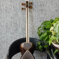 تار حرفه ای خوش صدا|سازهای سنتی|جهرم, |دیوار