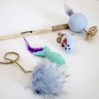 پک اسباب بازی گربه (۴عددی)