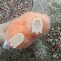 لبو بو|اسباب‌‌بازی|زنجان, |دیوار