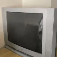 تلوزیون