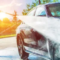 نیروی کار در کارواش